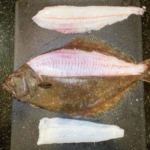 Sushi Sushi - Sushi Fluke